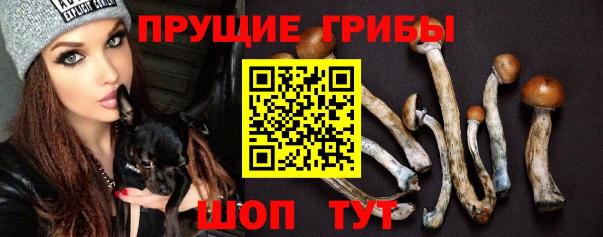 Псилоцибиновые грибы Magic Shrooms Борисоглебск