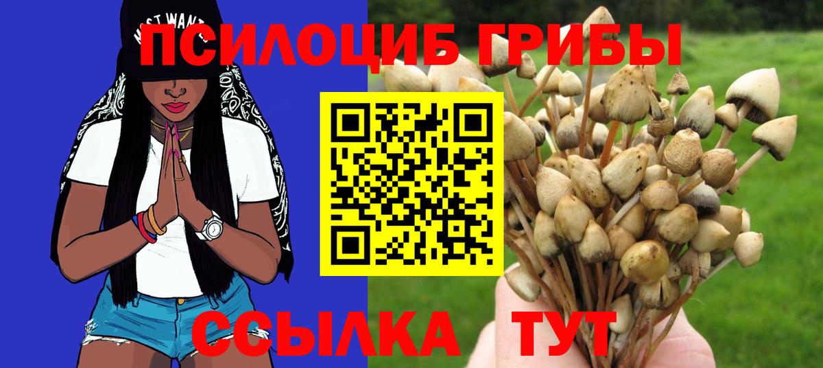Галлюциногенные грибы мицелий  Вход с VPN  Борисоглебск  Псилоцибиновые грибы ЛСД 