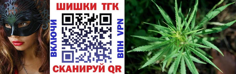 как найти наркотики  Борисоглебск  Шишки марихуана индика 